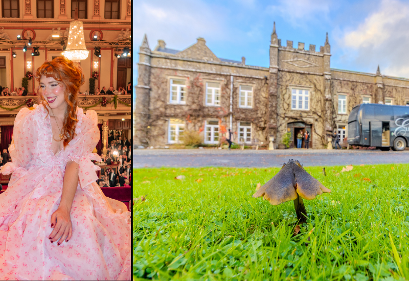 Ireland Group Castle Stay: A Magical and Spooky 8 Day Fall Adventure