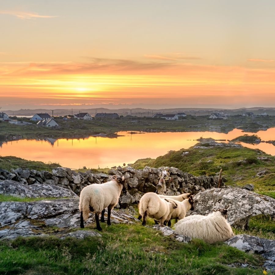 Travel Ireland